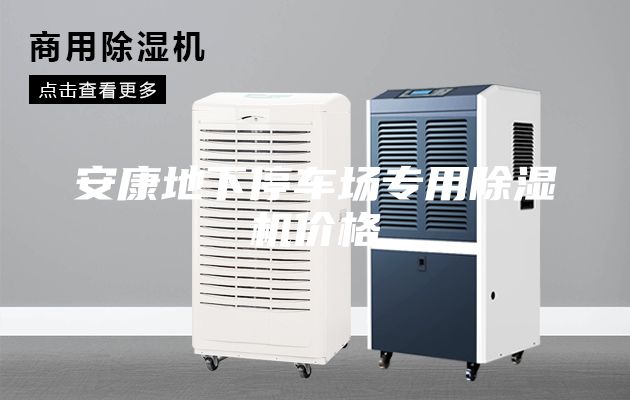 安康地下停車場專用除濕機(jī)價格