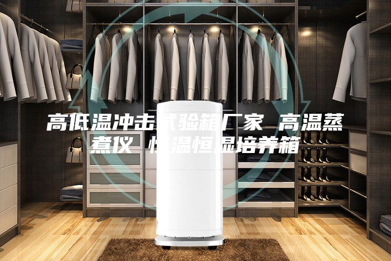 高低溫沖擊試驗(yàn)箱廠家 高溫蒸煮儀 恒溫恒濕培養(yǎng)箱
