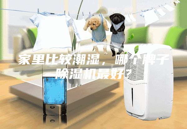 家里比較潮濕，哪個牌子除濕機最好？