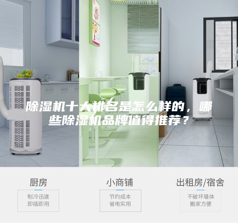 除濕機(jī)十大排名是怎么樣的，哪些除濕機(jī)品牌值得推薦？