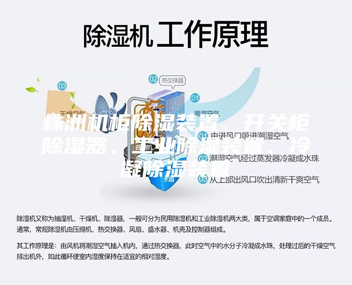 株洲機(jī)柜除濕裝置、開關(guān)柜除濕器、工業(yè)除濕裝置、冷凝除濕裝置