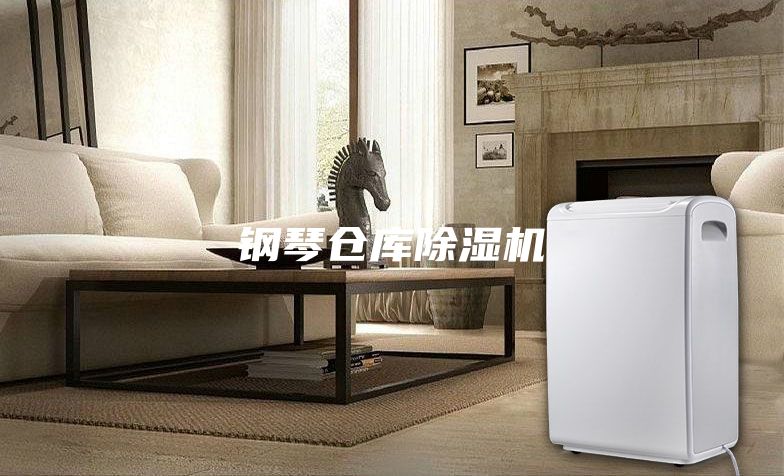 鋼琴倉(cāng)庫(kù)除濕機(jī)