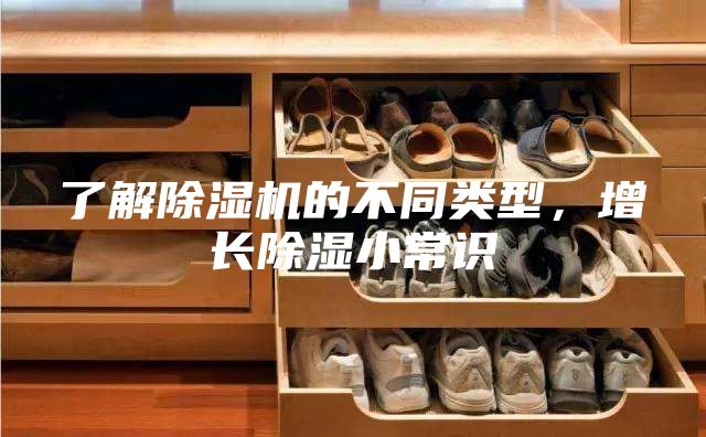 了解除濕機的不同類型，增長除濕小常識