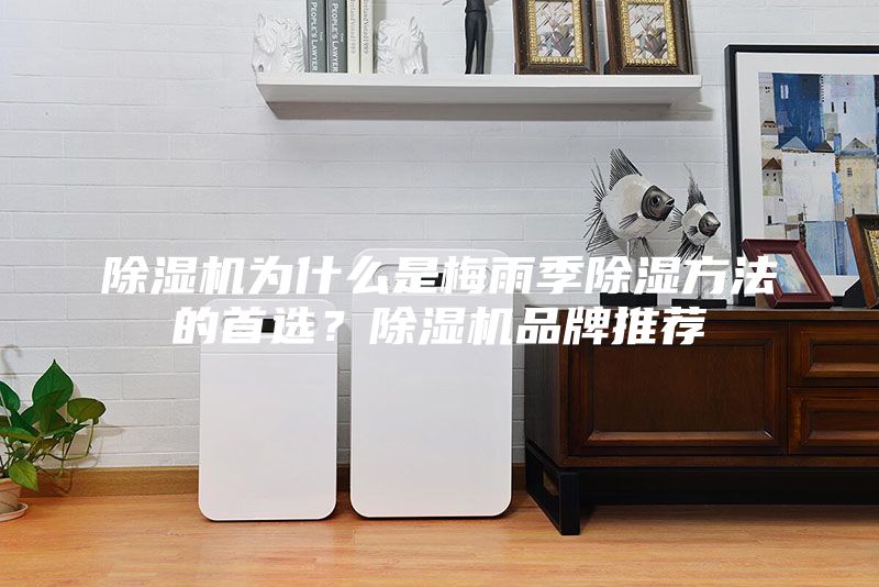 除濕機(jī)為什么是梅雨季除濕方法的首選？除濕機(jī)品牌推薦