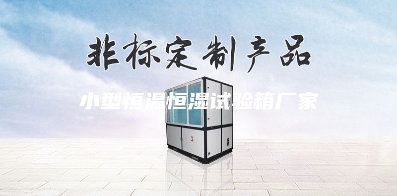 小型恒溫恒濕試驗(yàn)箱廠家