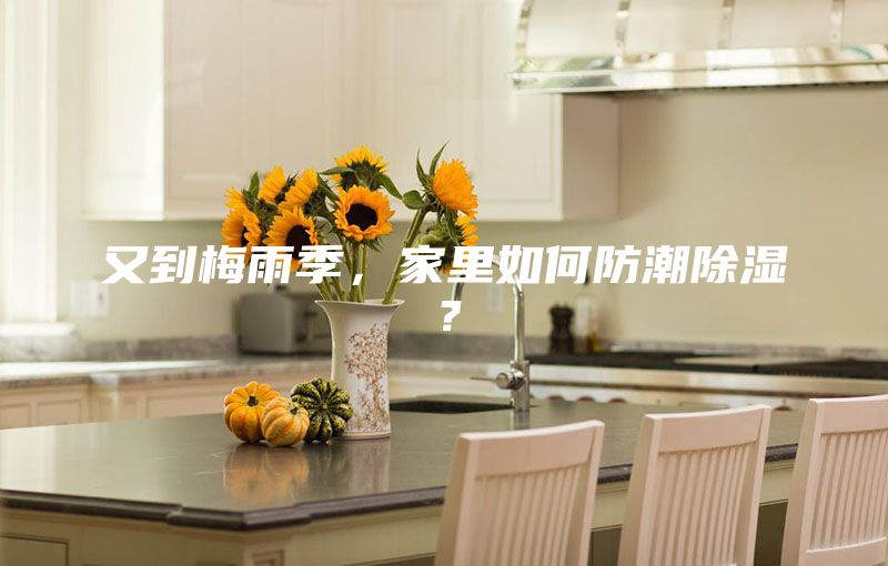 又到梅雨季，家里如何防潮除濕？
