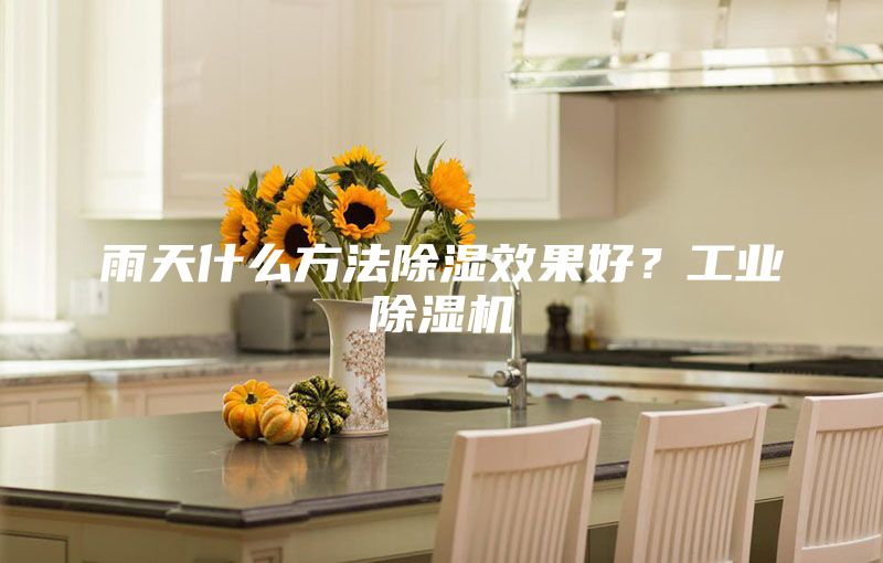 雨天什么方法除濕效果好？工業(yè)除濕機