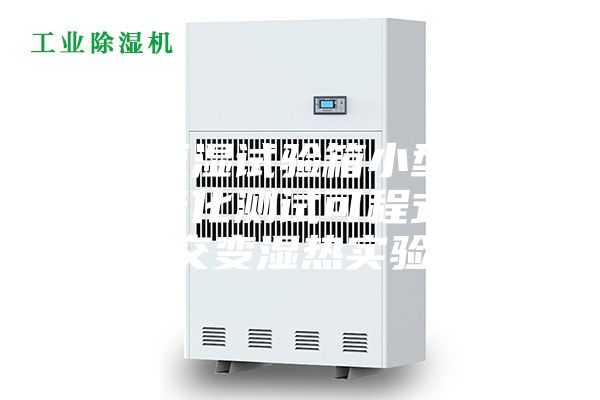 恒溫恒濕試驗(yàn)箱小型低溫環(huán)境老化測(cè)試可程式高低溫交變濕熱實(shí)驗(yàn)箱