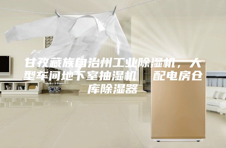 甘孜藏族自治州工業(yè)除濕機，大型車間地下室抽濕機  配電房倉庫除濕器