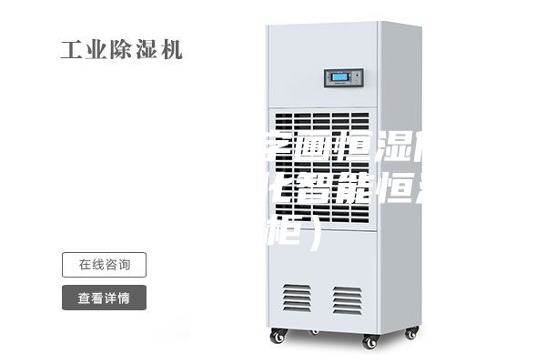 抽屜式文物字畫恒濕儲(chǔ)藏柜（無水凈化智能恒濕典藏柜）