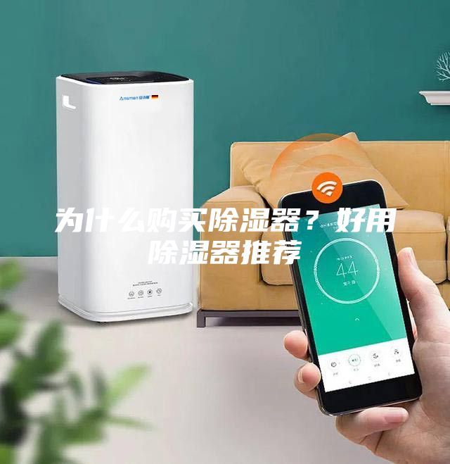 為什么購買除濕器？好用除濕器推薦
