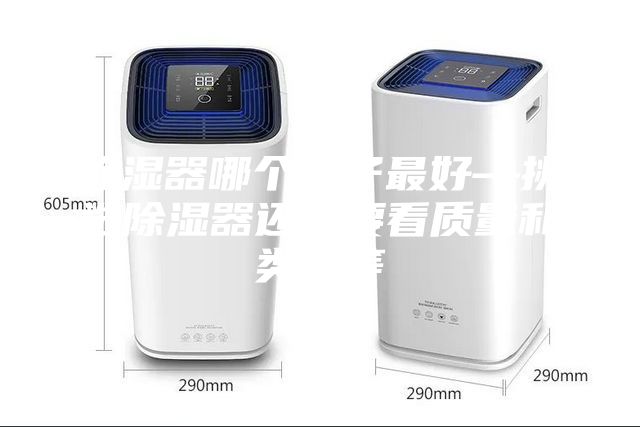 除濕器哪個(gè)牌子最好—挑選除濕器還需要看質(zhì)量和類(lèi)型等