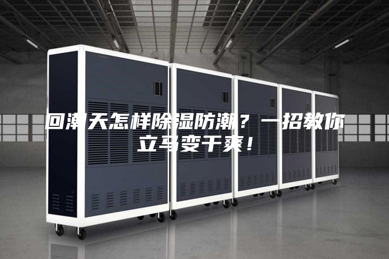 回潮天怎樣除濕防潮？一招教你立馬變干爽！