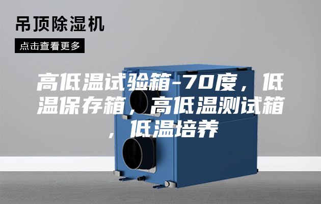 高低溫試驗箱-70度，低溫保存箱，高低溫測試箱，低溫培養(yǎng)