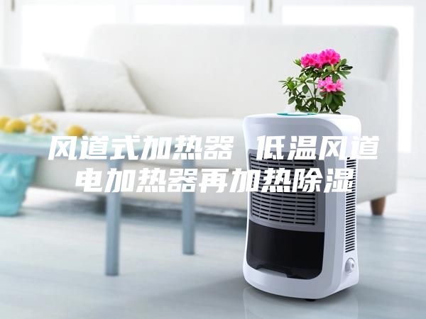 風(fēng)道式加熱器 低溫風(fēng)道電加熱器再加熱除濕