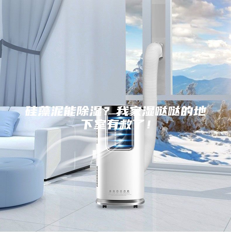 硅藻泥能除濕？我家濕噠噠的地下室有救了！